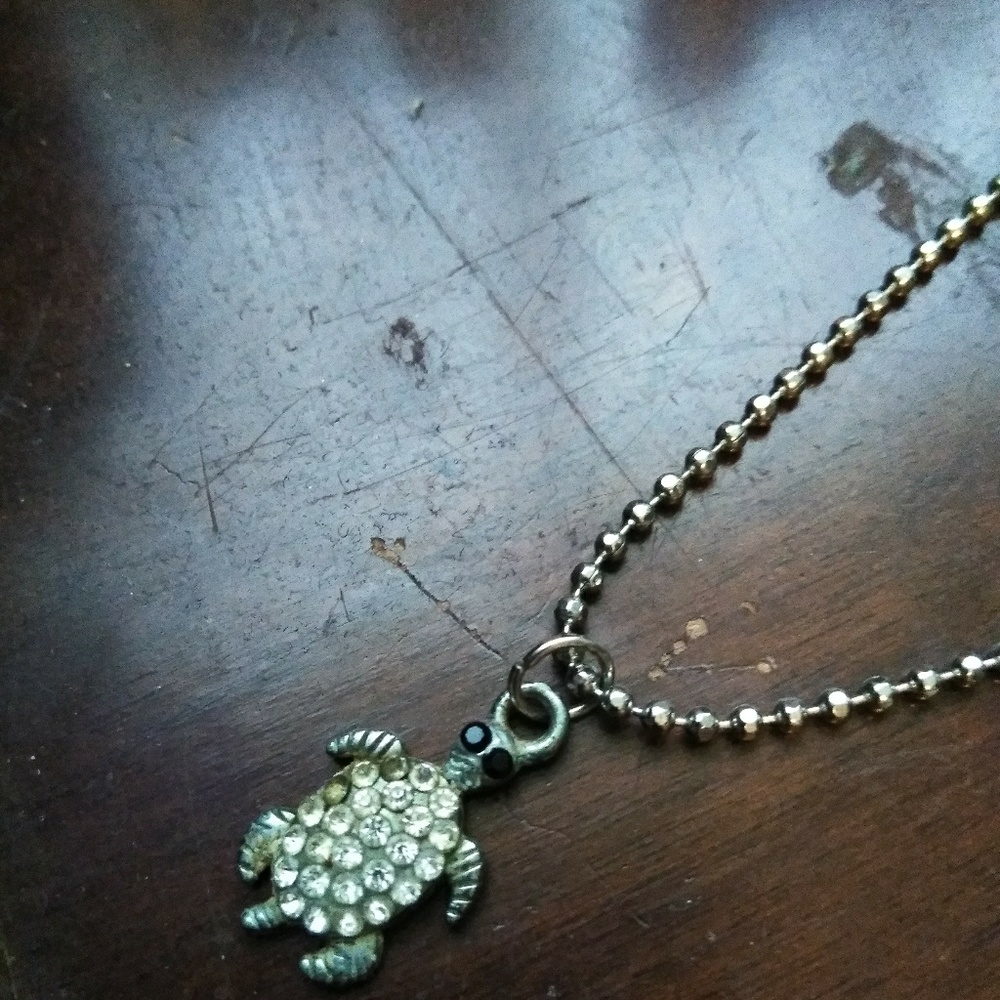 Turtle necklace